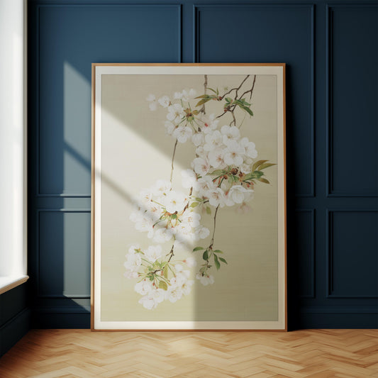 Japanese White Cherry Blossom Print