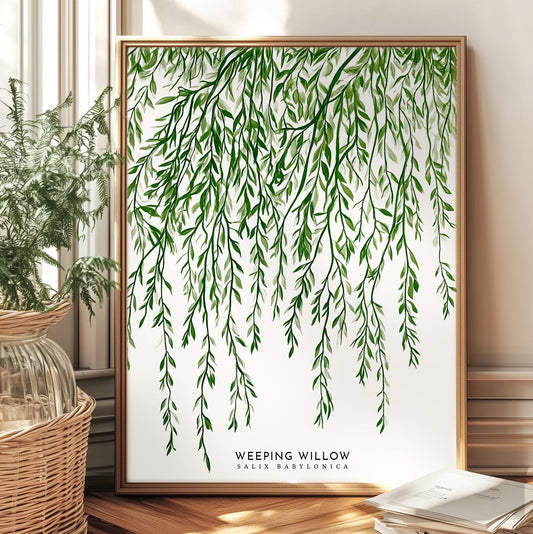 Elegant Weeping Willow Botanical Print: Salix Babylonica Minimalist Nature Wall Art Poster