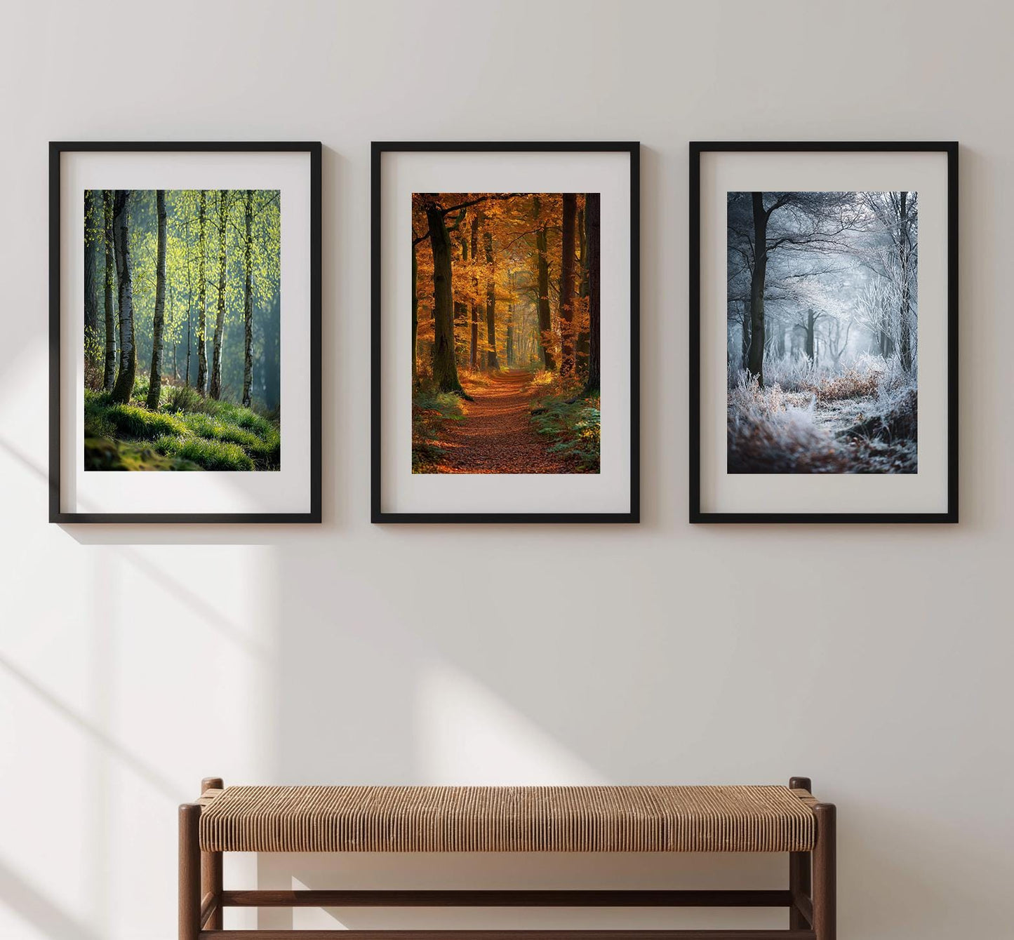 English Forest Seasons Photography Print: British Woodland Nature Art