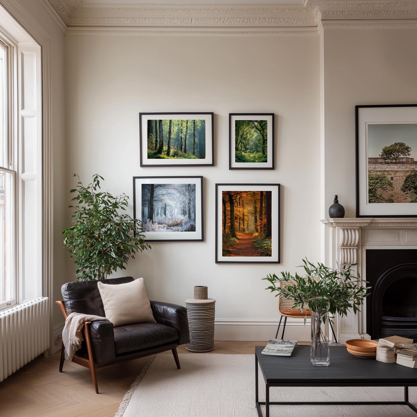 English Forest Seasons Photography Print: British Woodland Nature Art