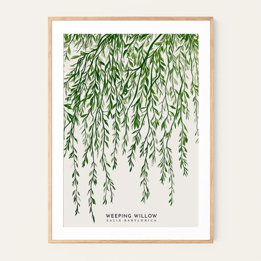 Elegant Weeping Willow Botanical Print: Salix Babylonica Minimalist Nature Wall Art Poster