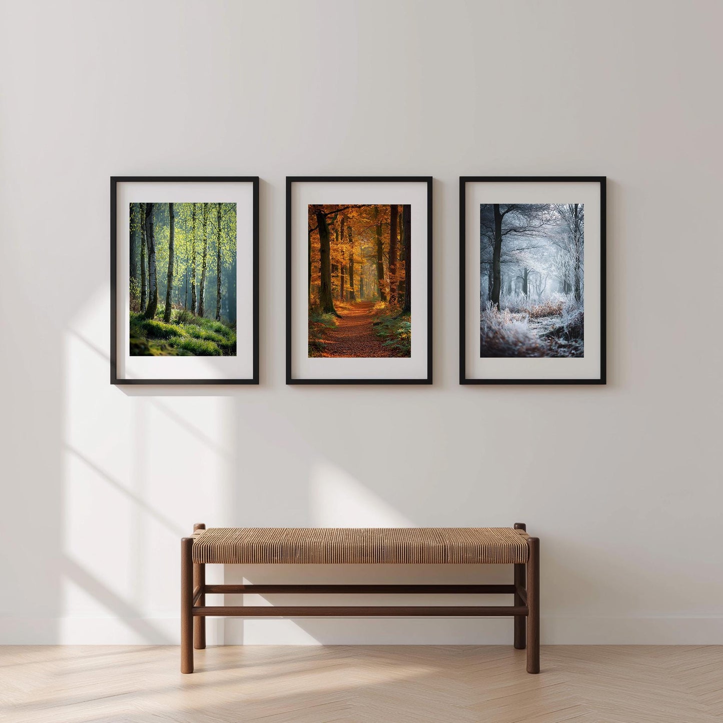 English Forest Seasons Photography Print: British Woodland Nature Art
