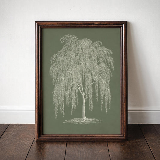 Weeping Willow Tree Print