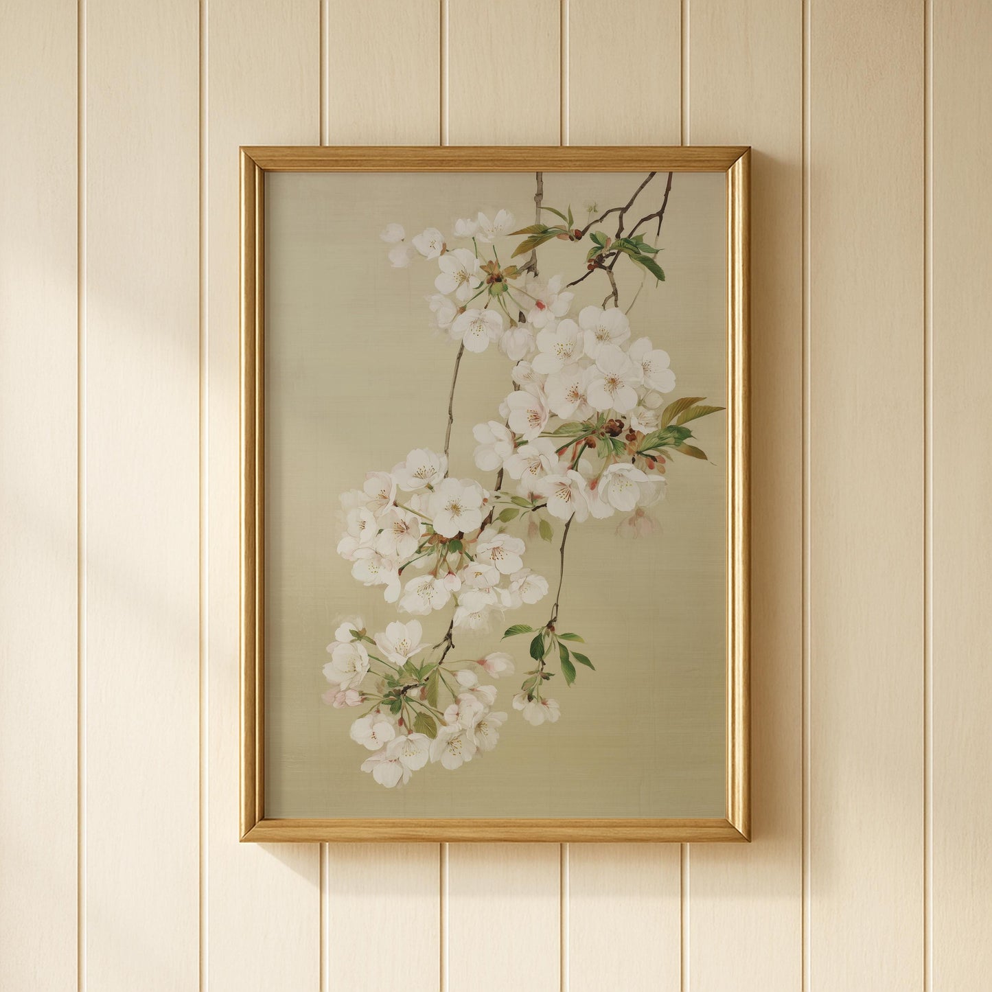 Japanese White Cherry Blossom Print