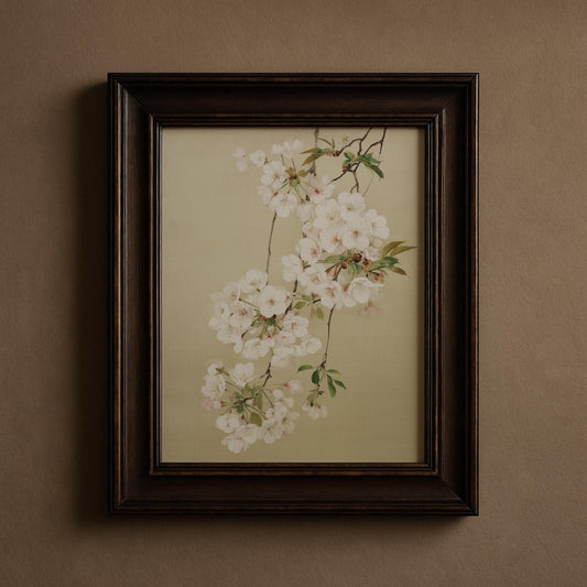 Japanese White Cherry Blossom Print