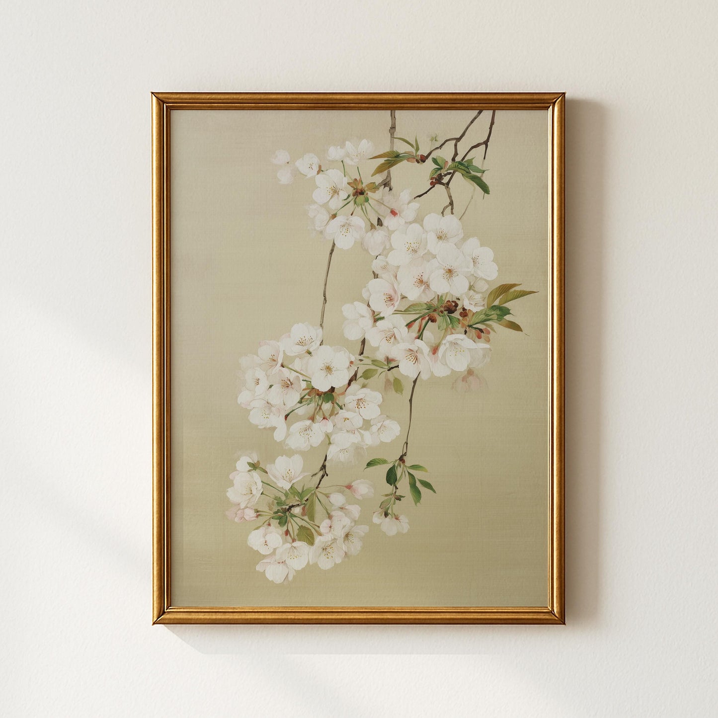 Japanese White Cherry Blossom Print